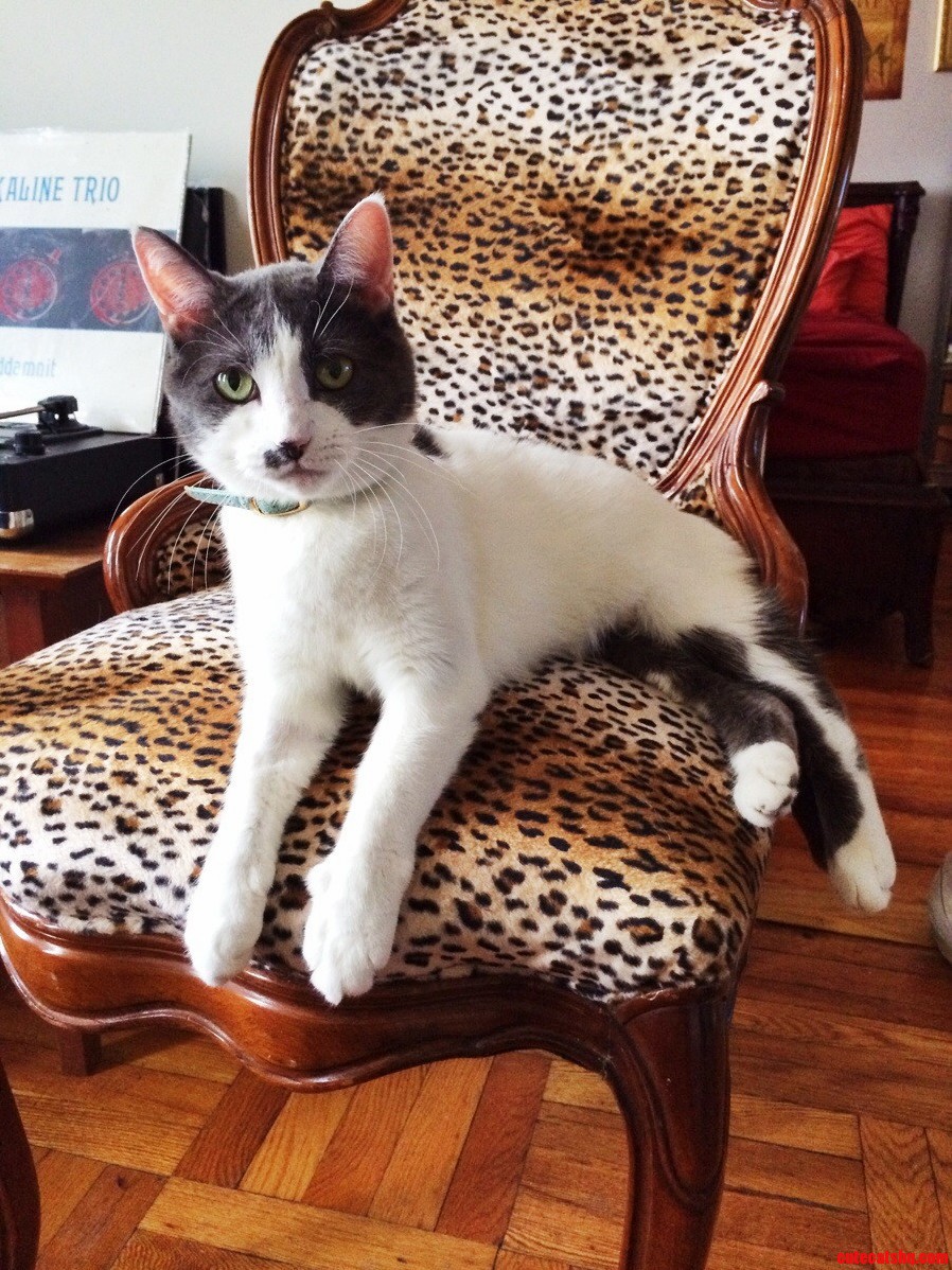 Surveying Her Domain