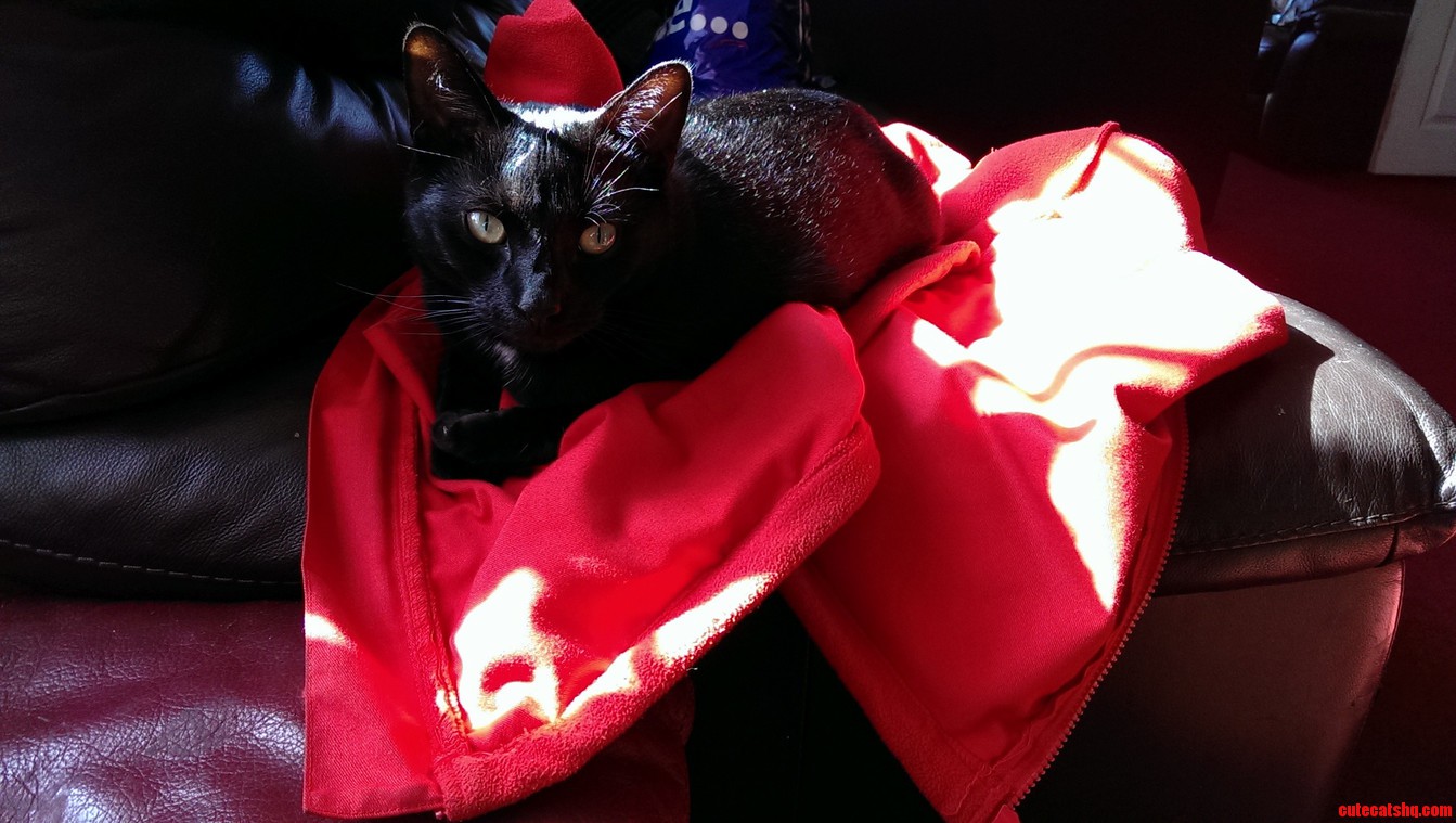 Susie in the Sun.