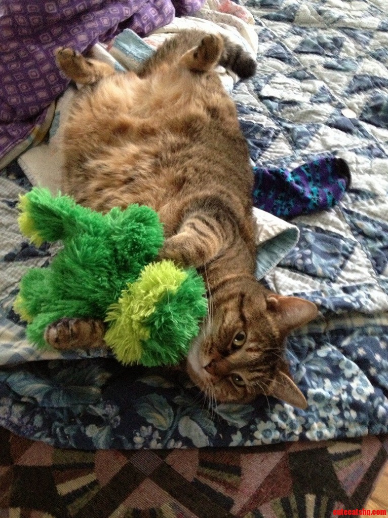 Tabithas New Toy.
