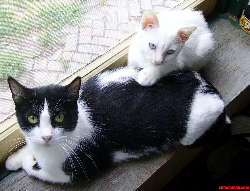 Tammy and Her Baby Zanzibar