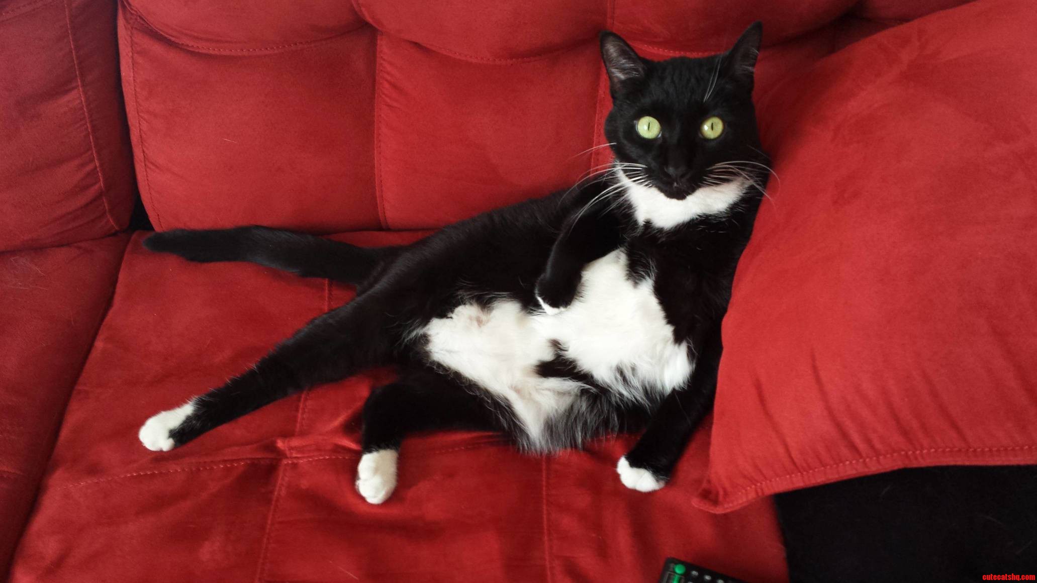 That Incredulous Look When I Say Shes in My Spot
