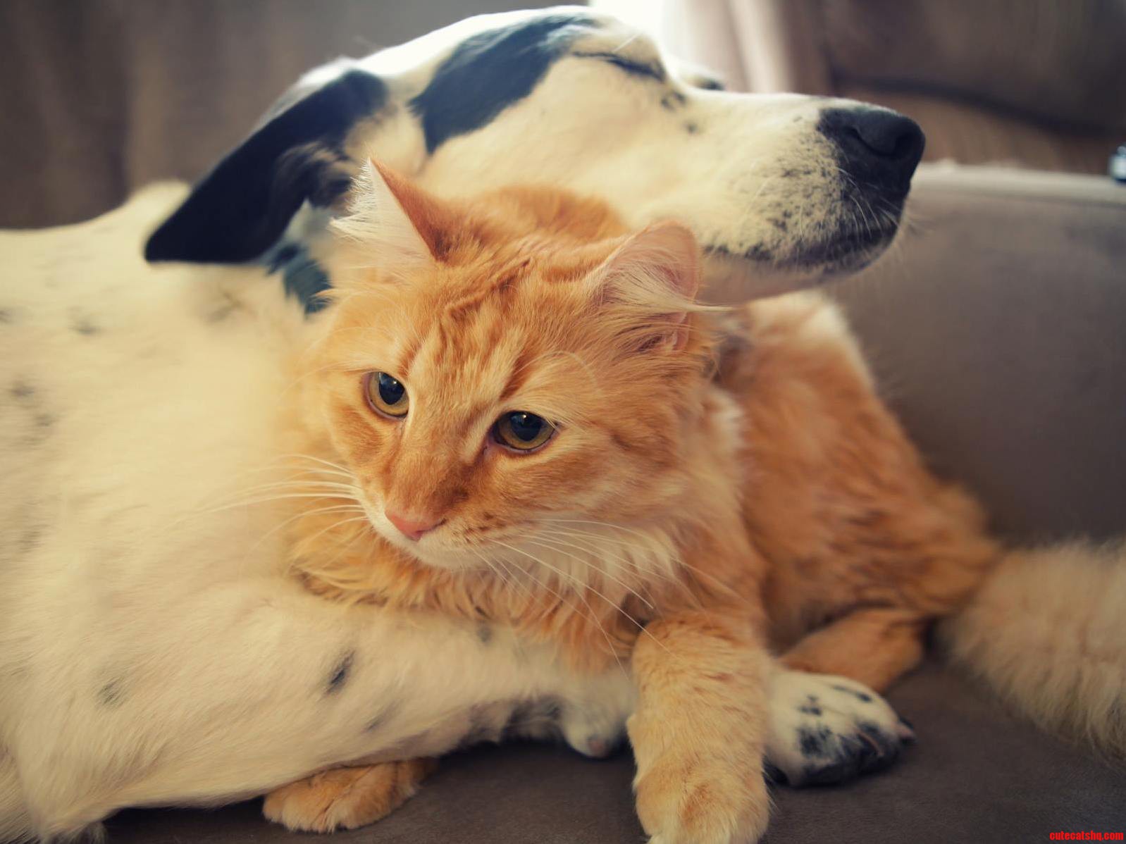 Thats Called Friendship
