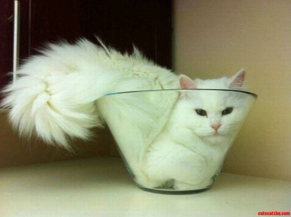 Thats So Comfortable Lol