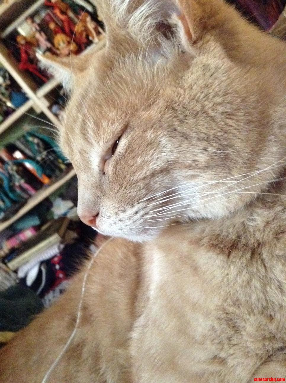 The First Thing I See When I Wake Up