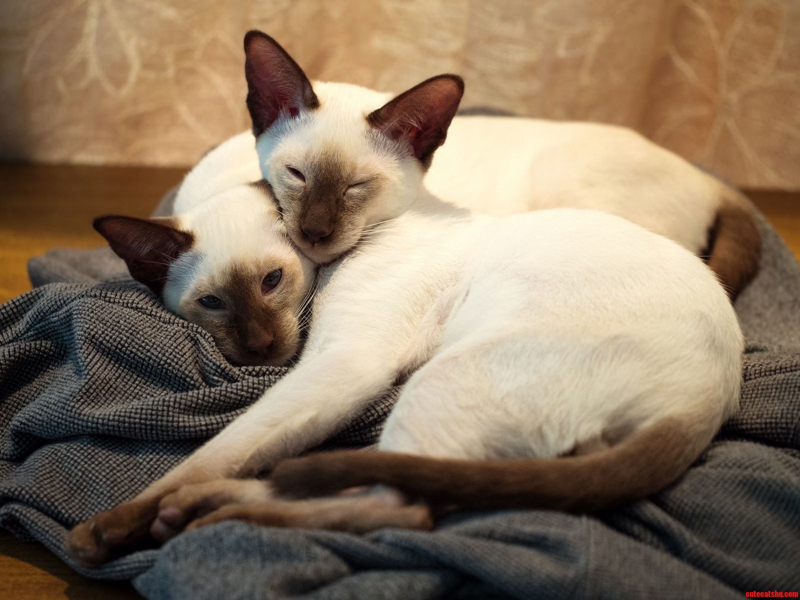 The Inseparable Leeloo Dallas