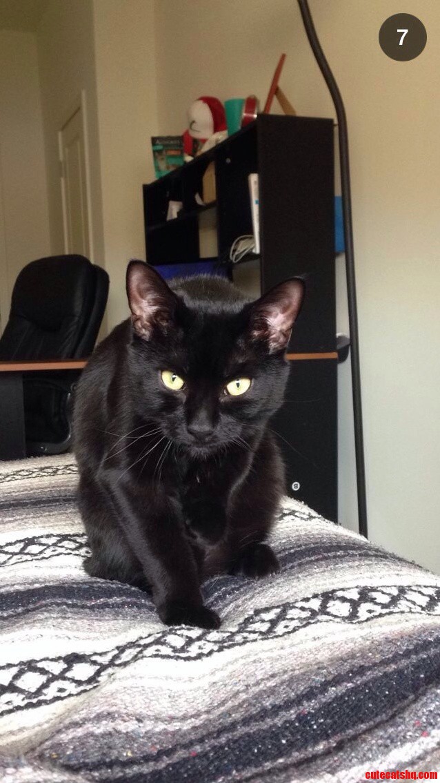 The Sun Makes His Eyes Look Awesome