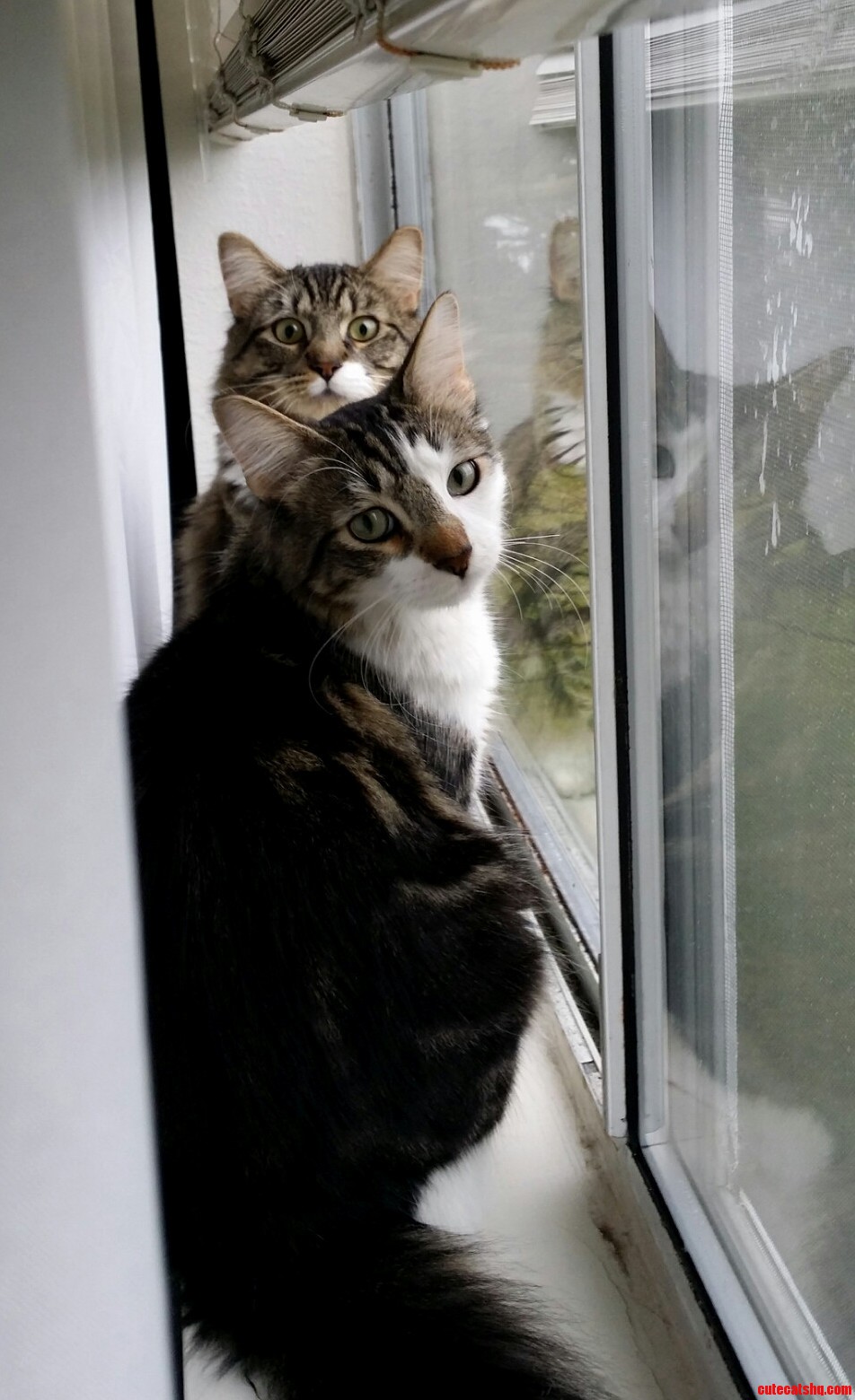 Their Morning Ritual