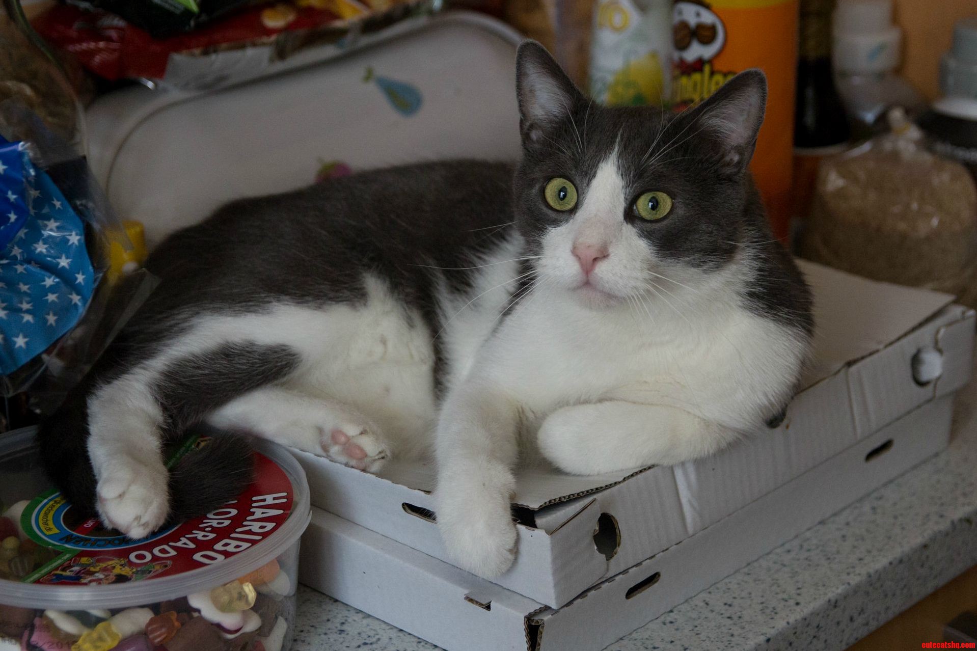These Are My Pizza Boxes. and My Haribos.