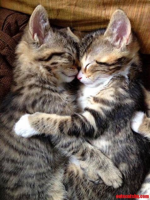 They Are So Cute