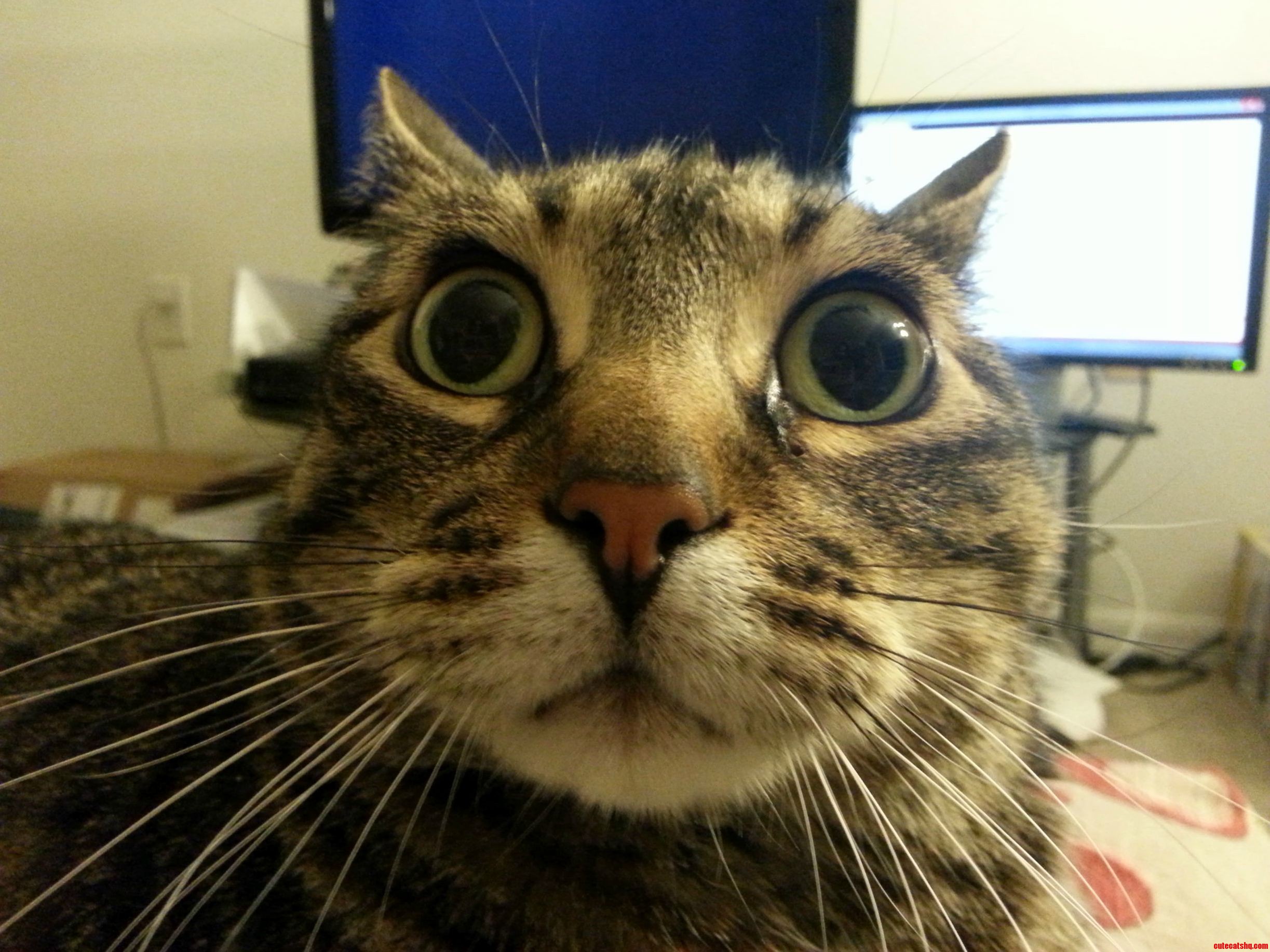 This Face Usually Means Something Bad Is About to Happen