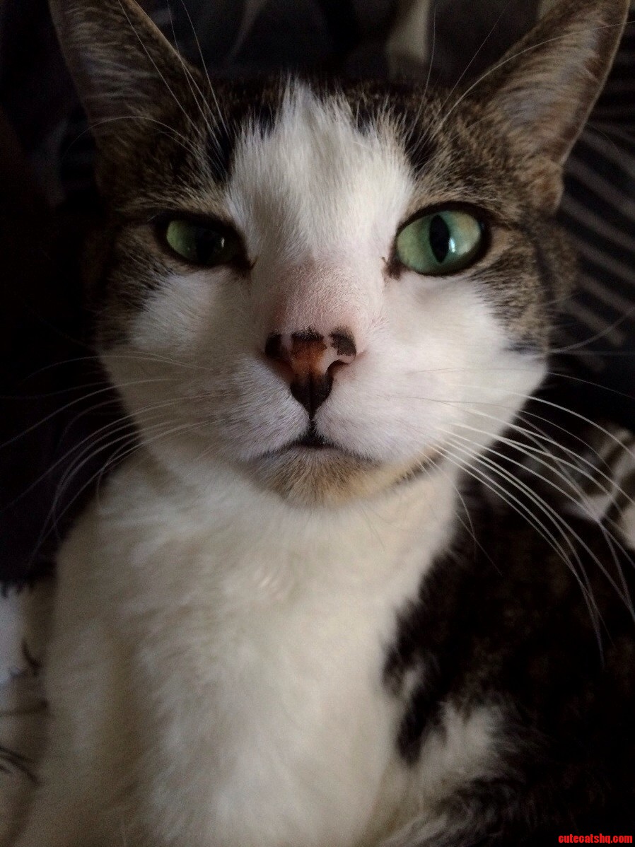 This Is Astro