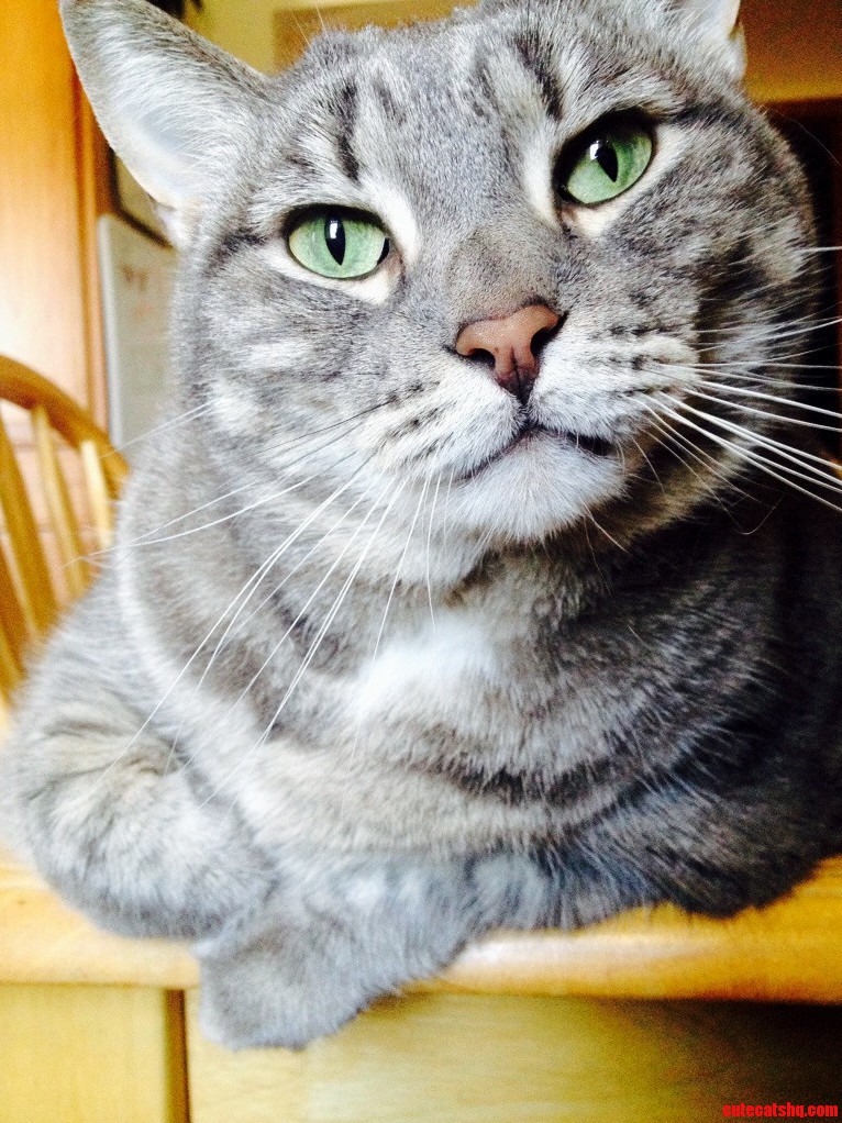 This Is Baby Looking Extra Curious.