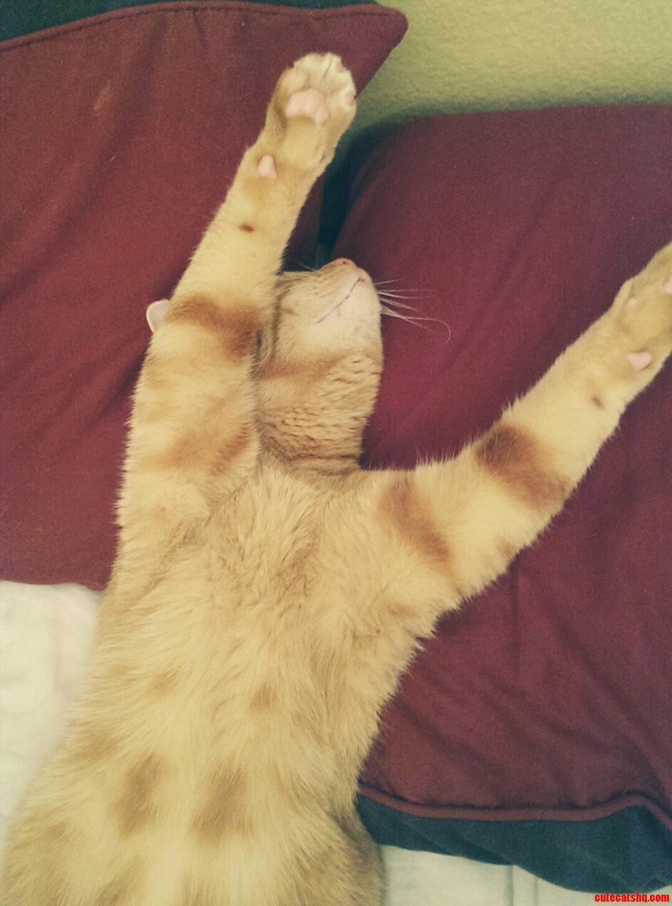 This Is Boris.