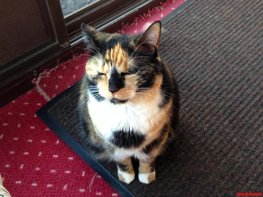 This Is Furbies Happy Face