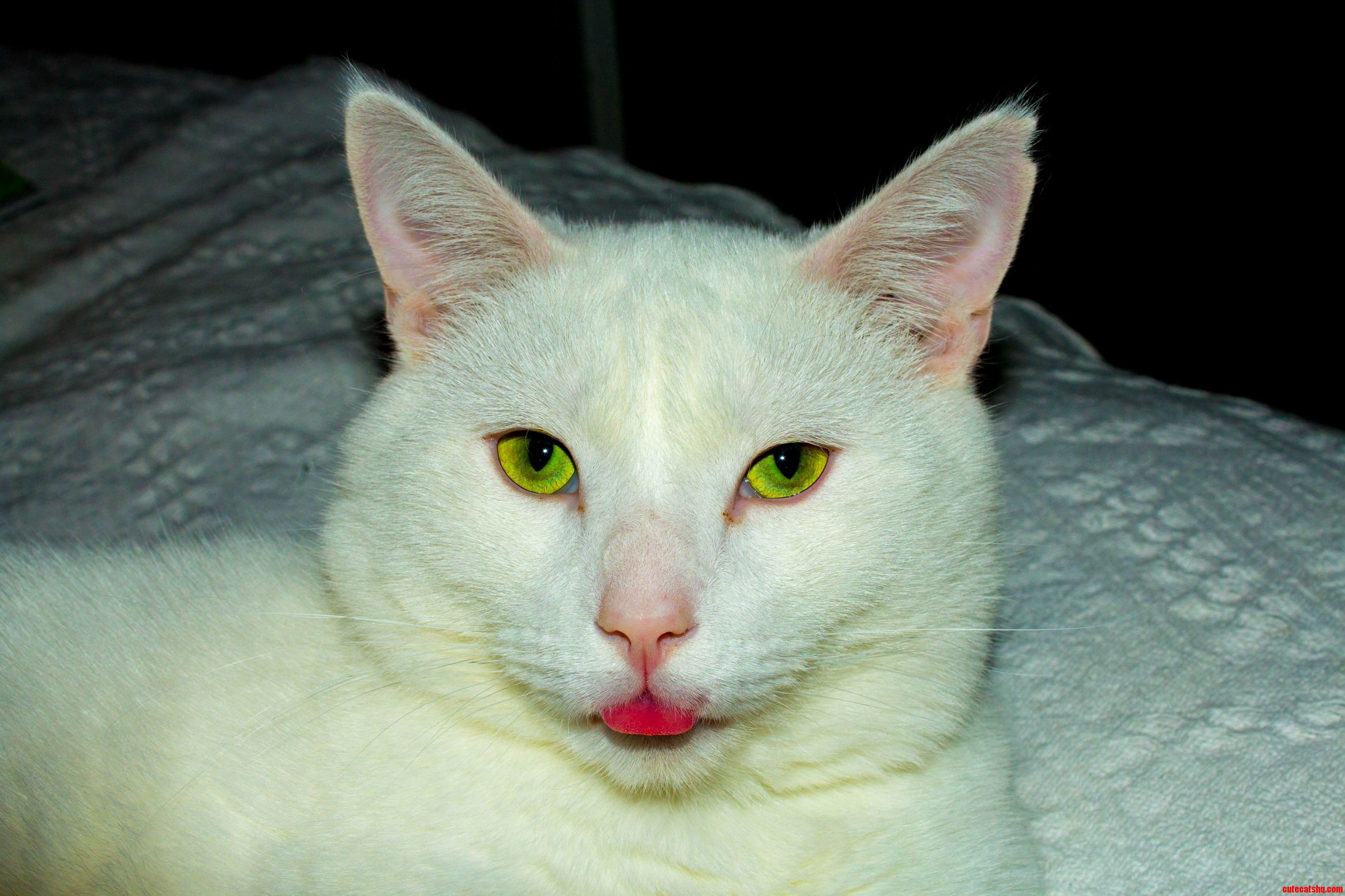 This Is His Einstein Impression