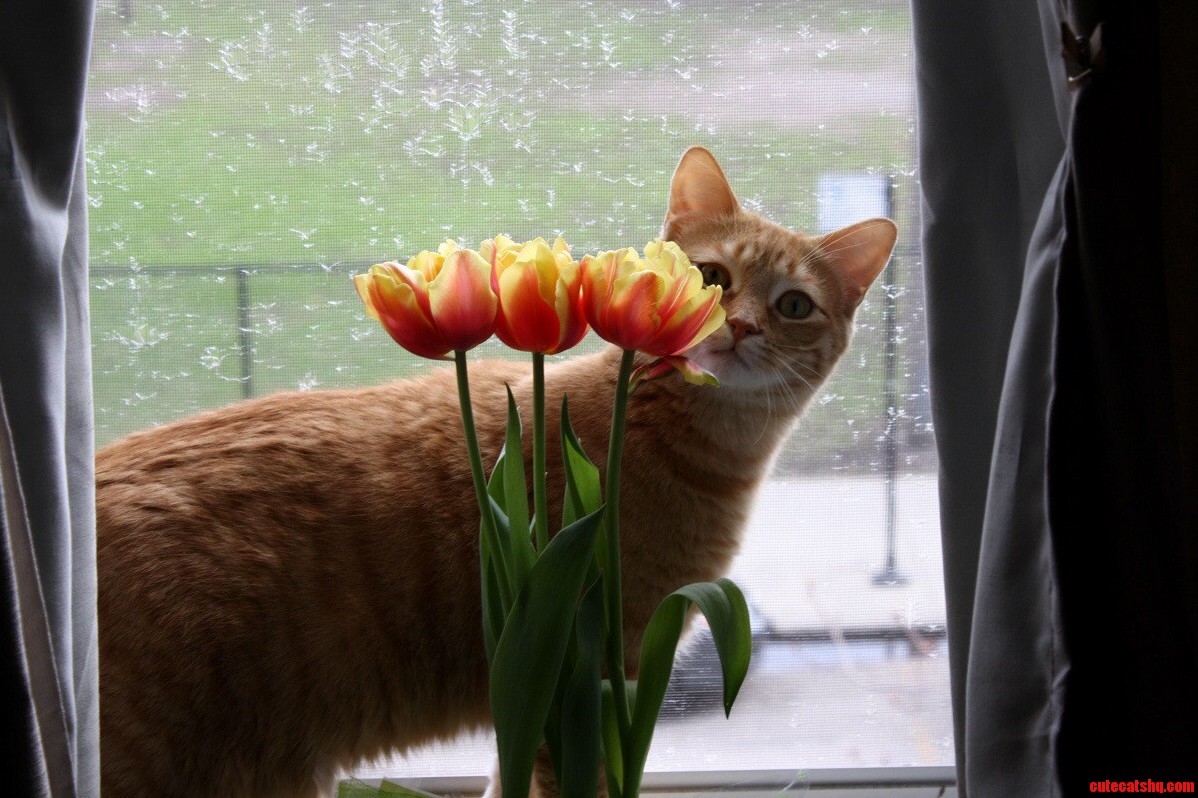 This Is Ilo. Today We Had to Say Goodbye Way Too Soon.