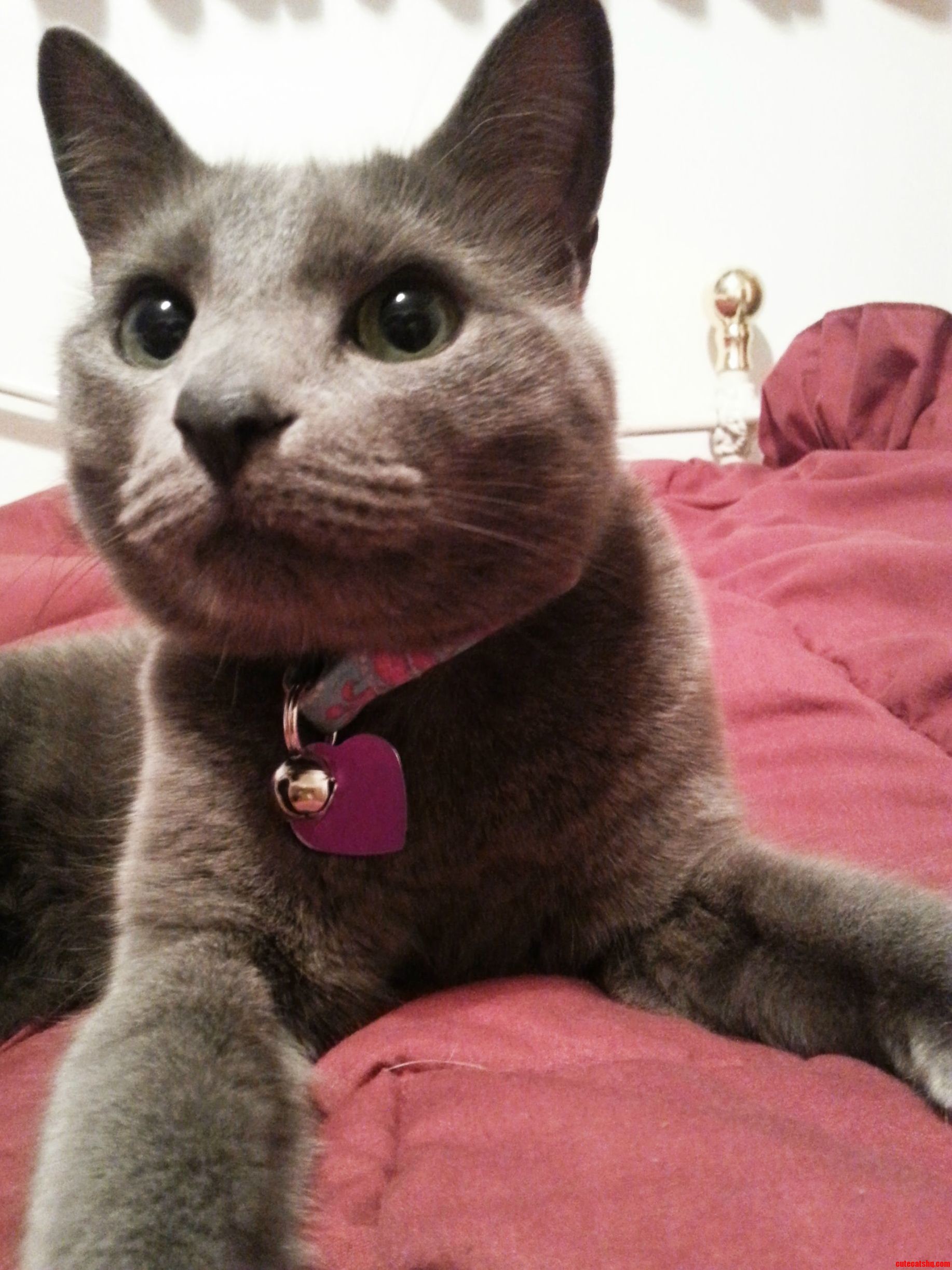 This Is Leela Being Adorable.