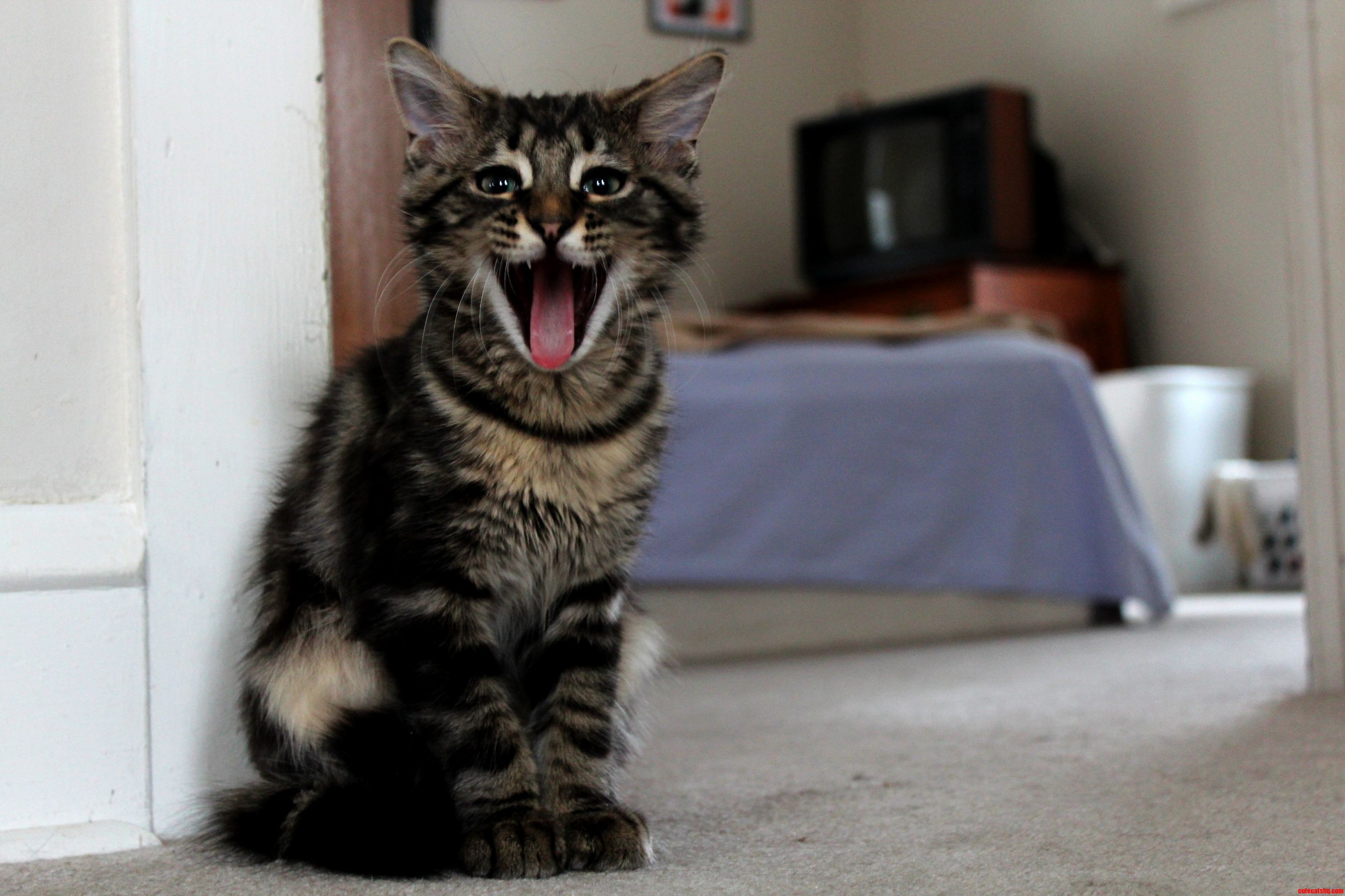 This Is Lenny and I Love Him.
