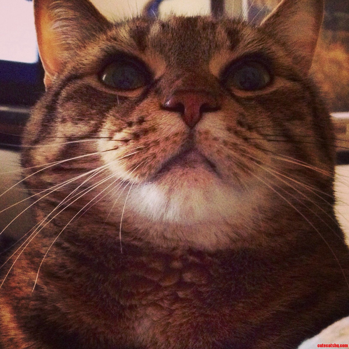 This Is Lenore