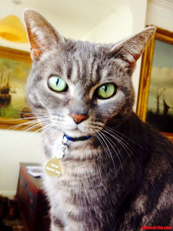 This Is Mishka
