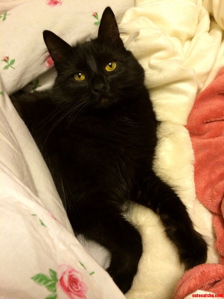 This Is Mowgli