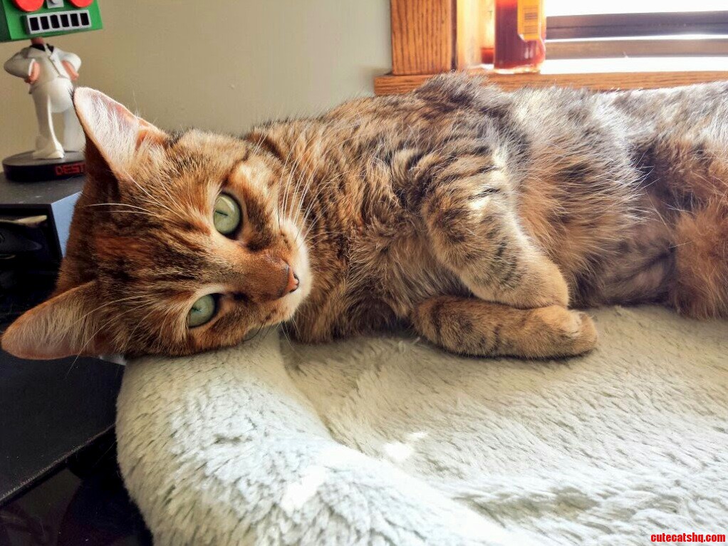 This Is My Baby. Shes 2 Years Old Today.