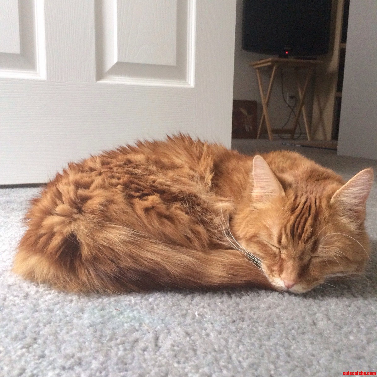 This Is Some Serious Comfort.