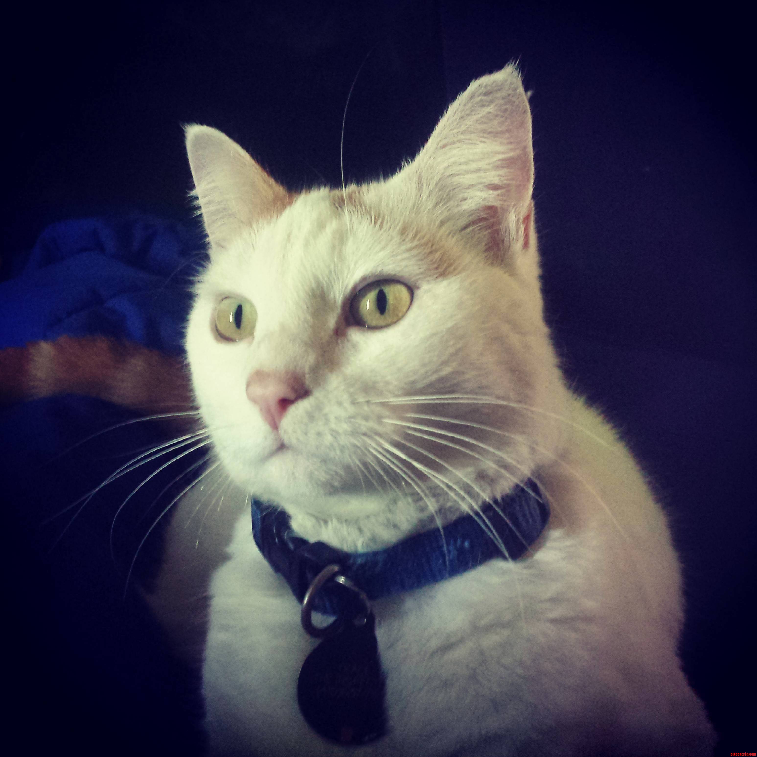 This Is the Best Picture He Will Ever Let Me Take.