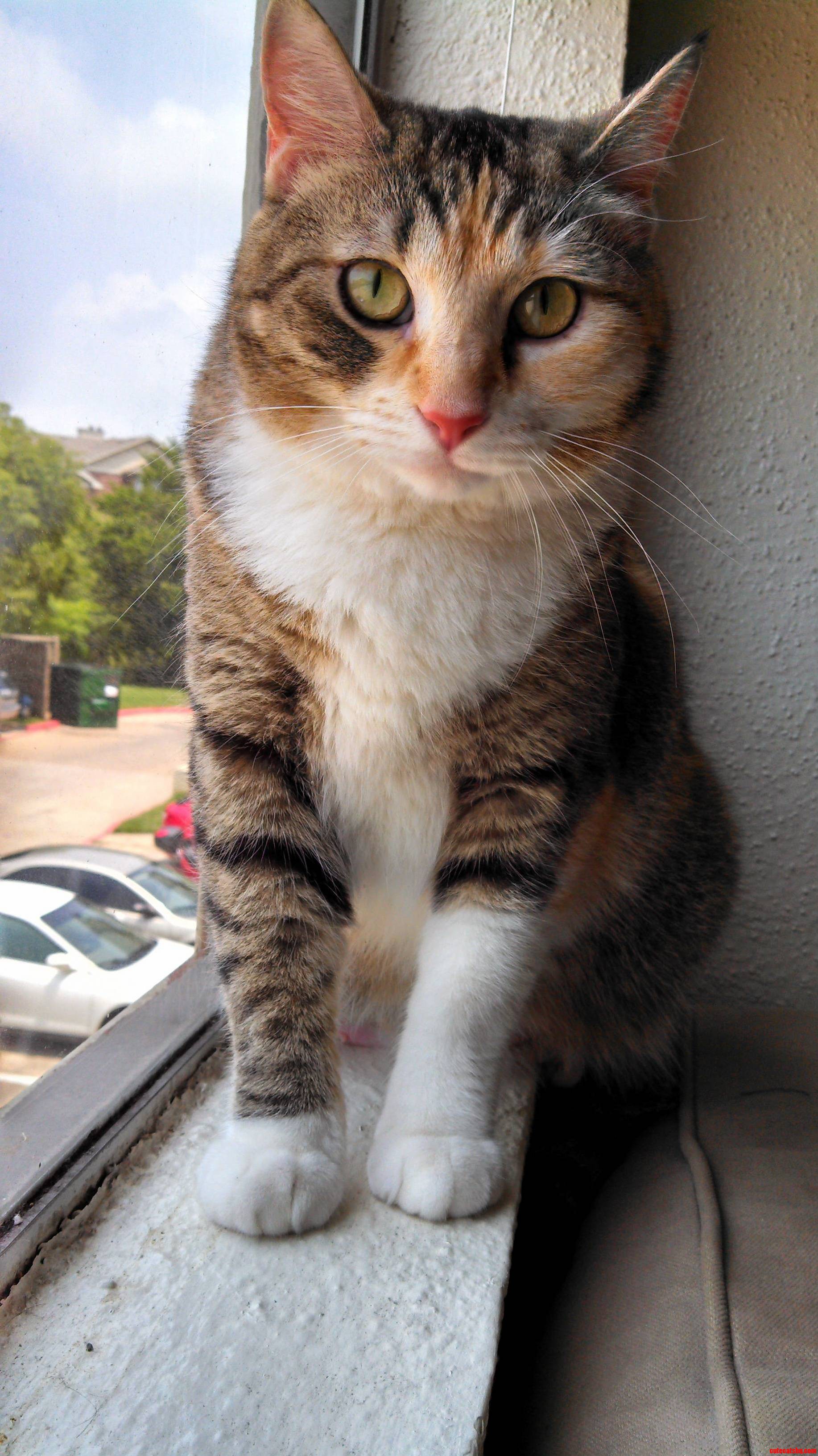 This Is the Nicest Pic I Ever Took of Her.