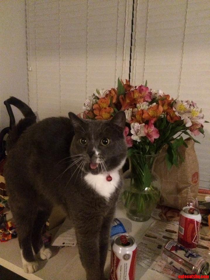 This Is Walter. Hes Not Stuffed.