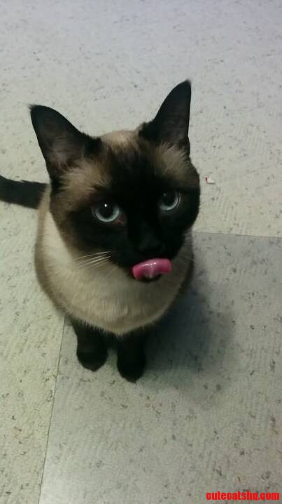 This Little Hungry Butthead