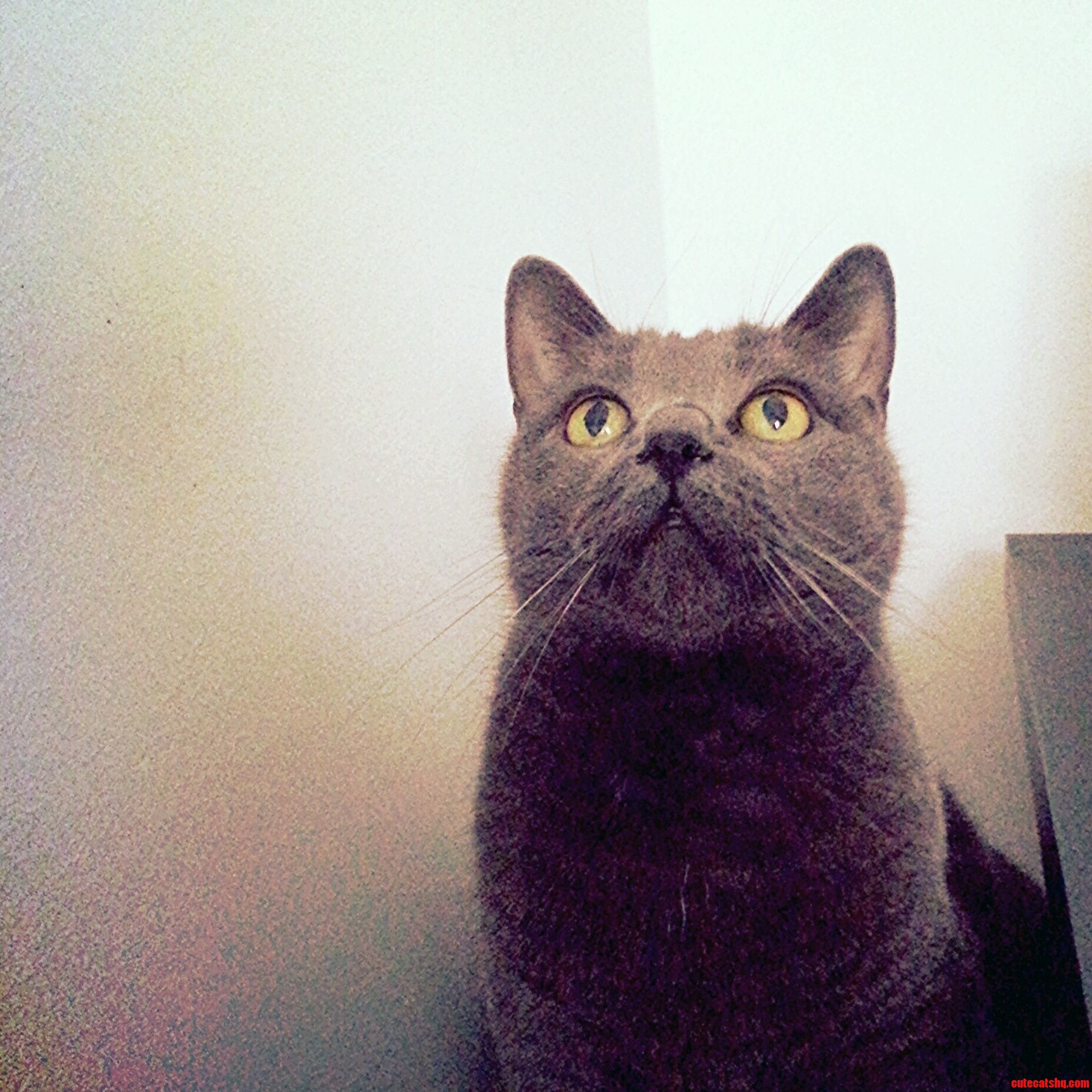 This Lovely Lady Turns 10 Today.