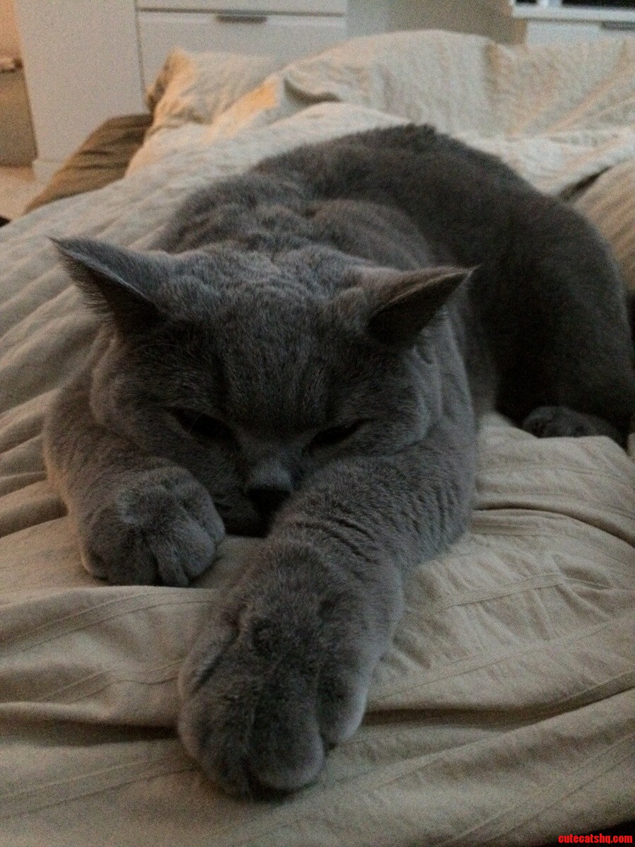 This Morning I Woke Up to This Dude on My Chest.