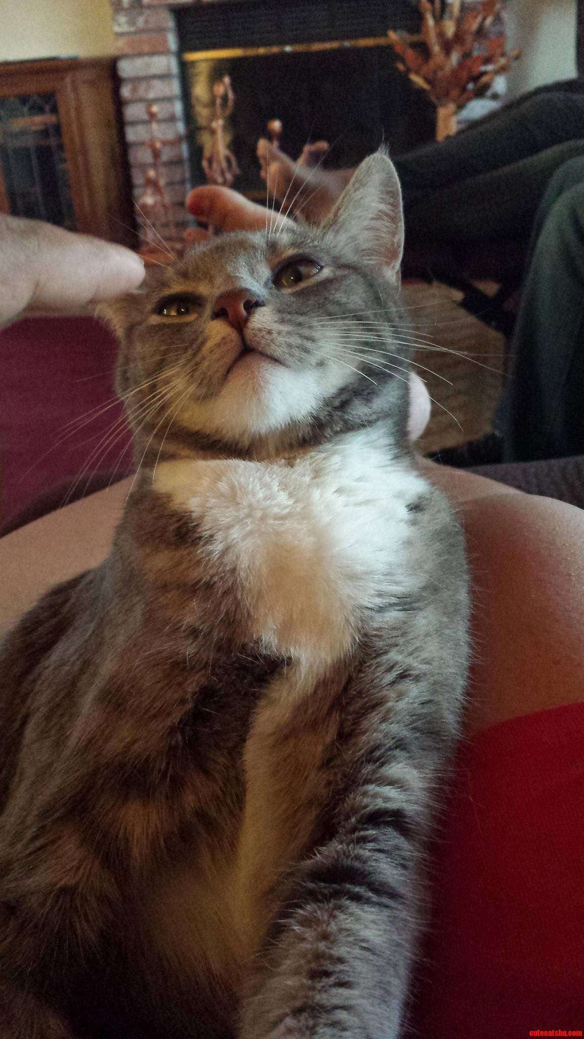 This Pregnant Momma Is Not Very Forgiving- Heres Her Angry Face Right Before She Tried to Bite Me
