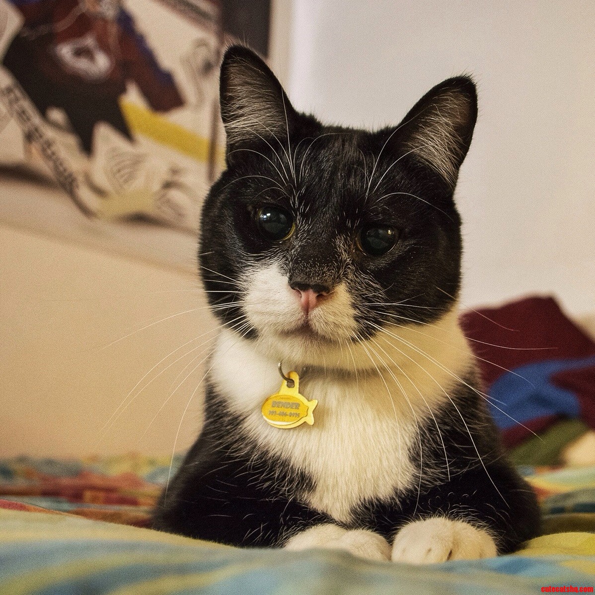 Those Eyes O.o