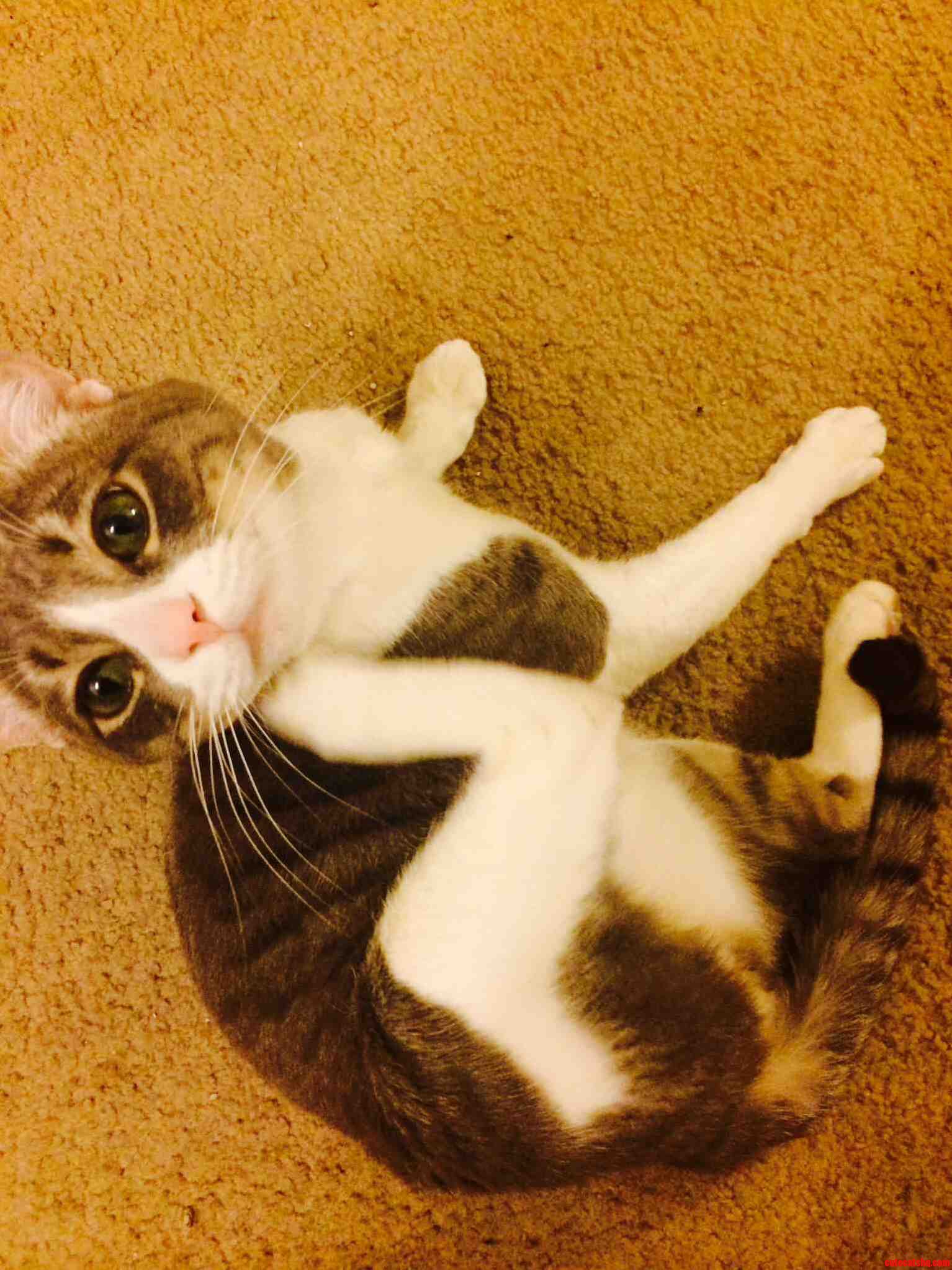 Those Eyes Though