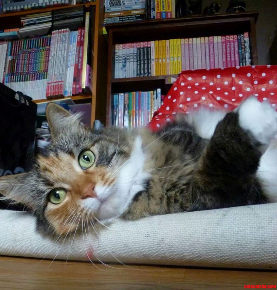 Those Eyes...