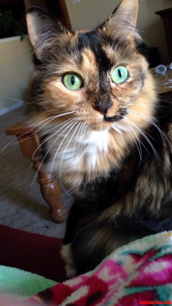 Those Eyes.
