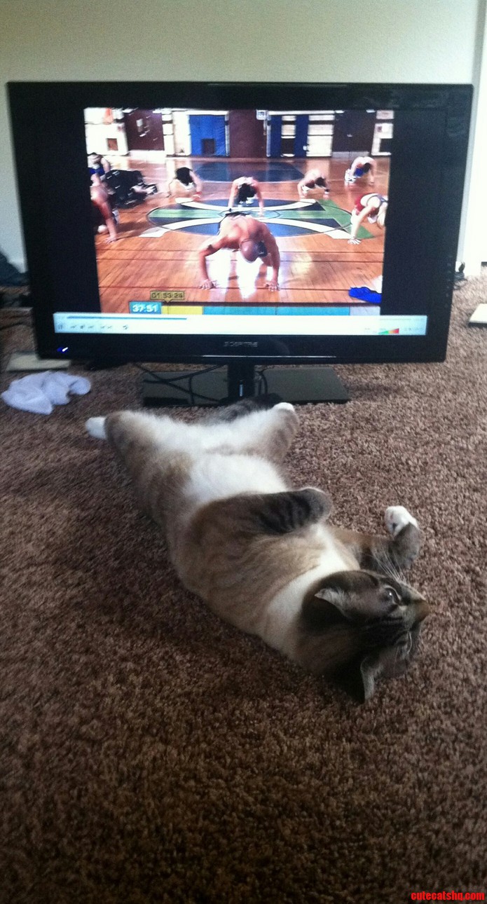 Those Insanity Workouts Sure Are Tough
