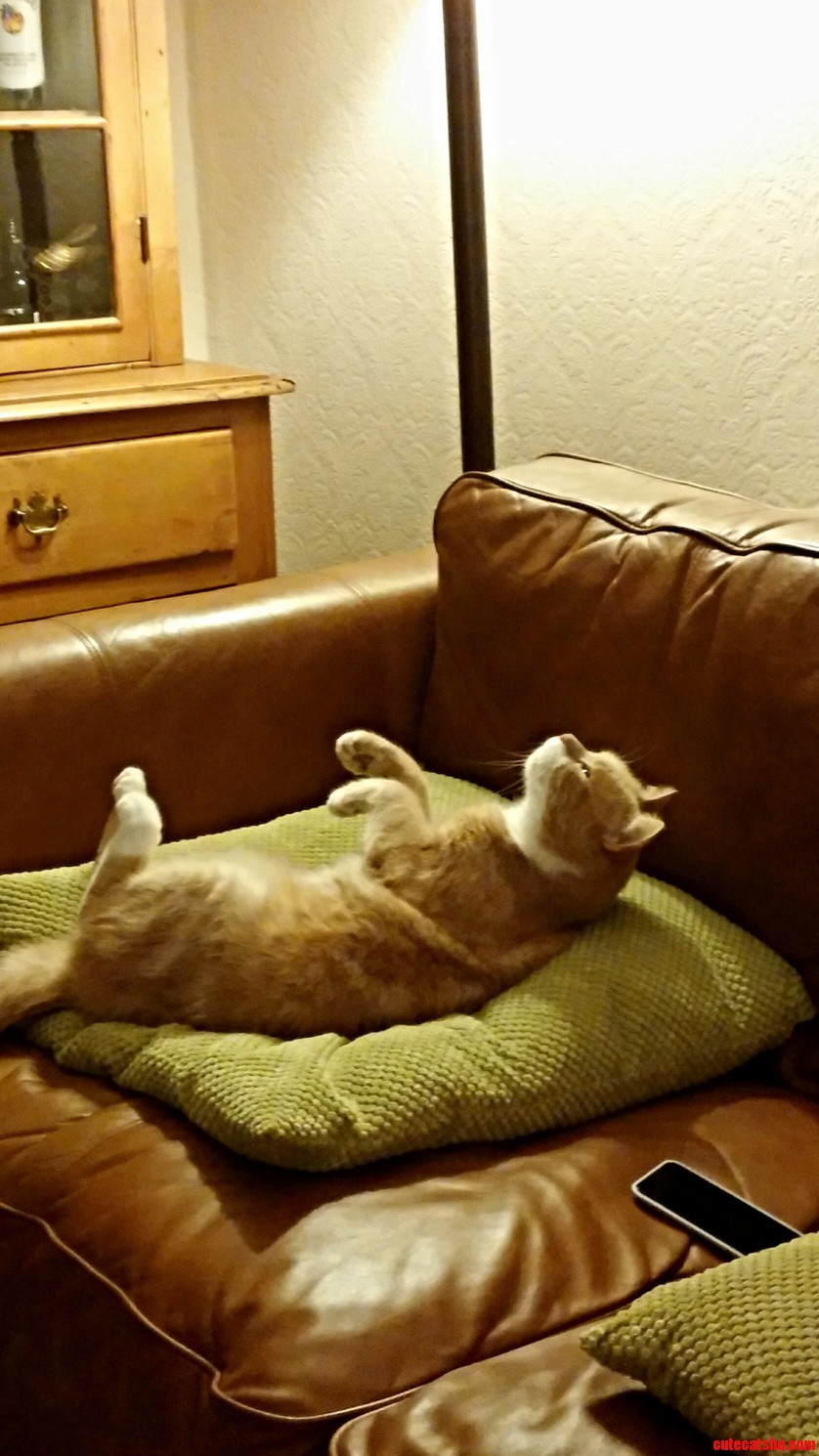 Thriller