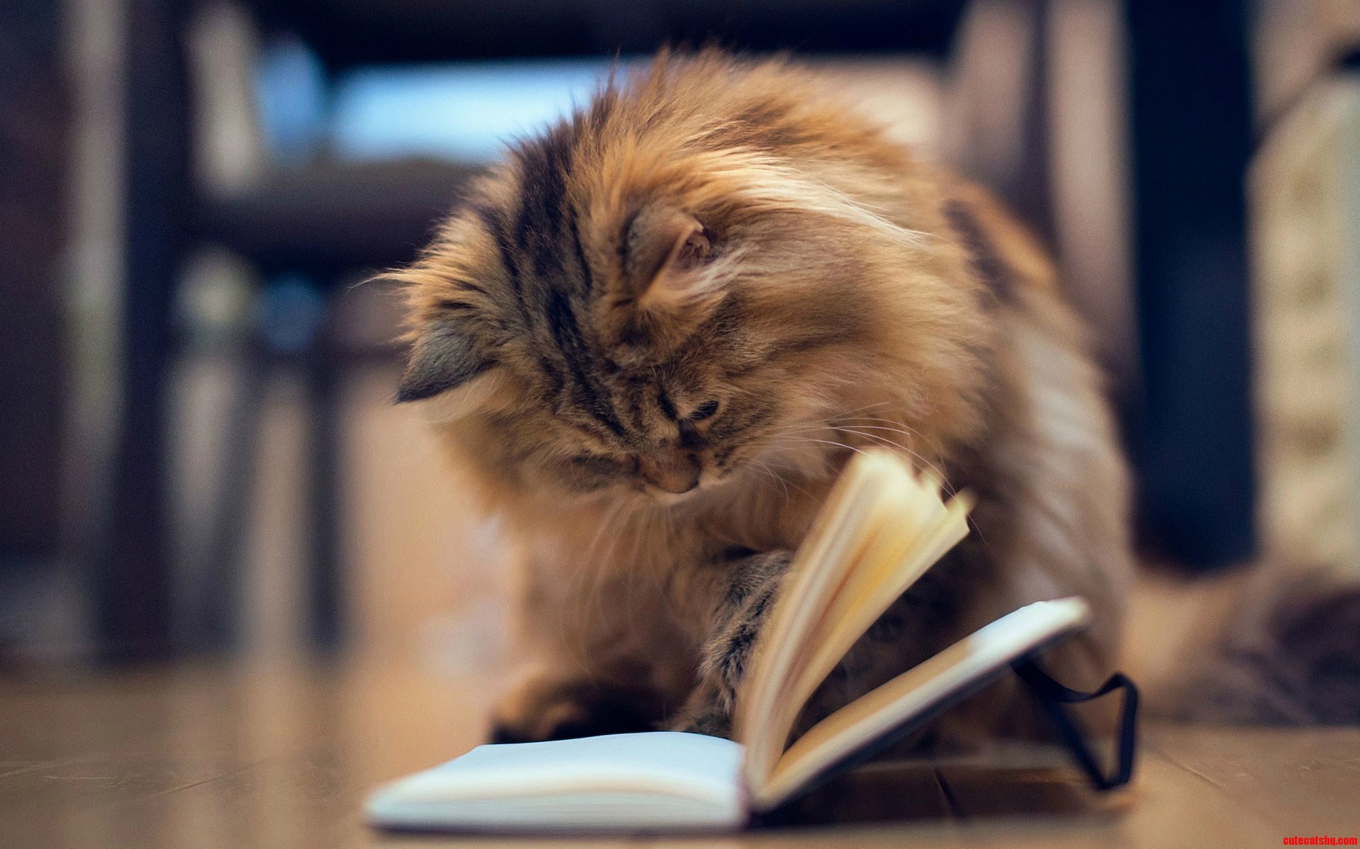 Title Dont Disturb She Is Studying