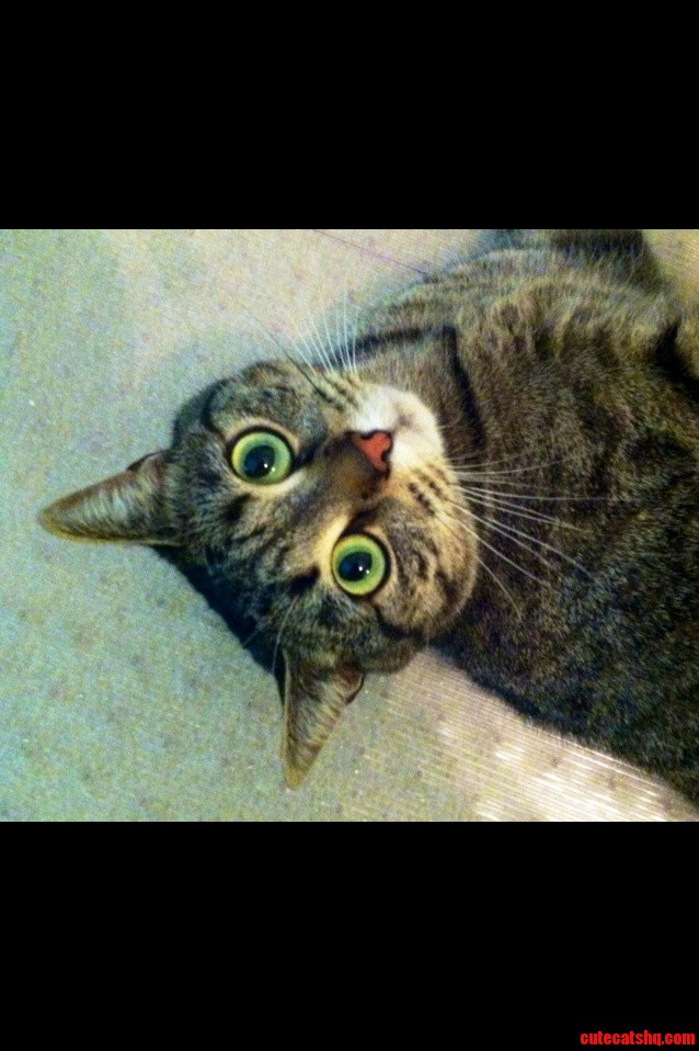 Today Is Her 2nd Birthday.