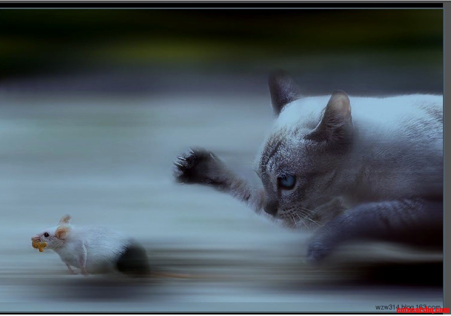 Tom Jerry