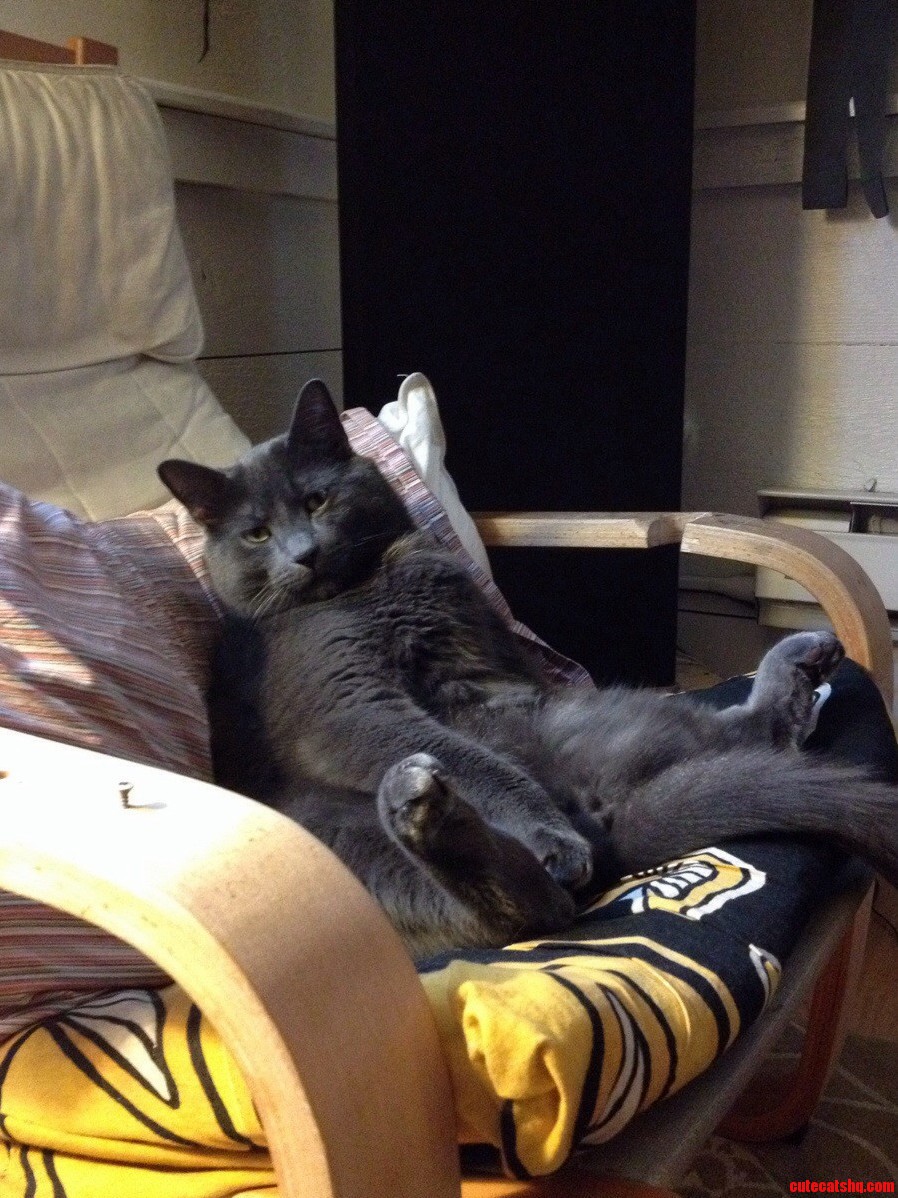 Too Lazy for a Title.