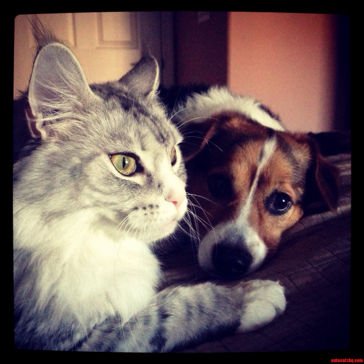 Took Some Time but They Get Along Fine Now.