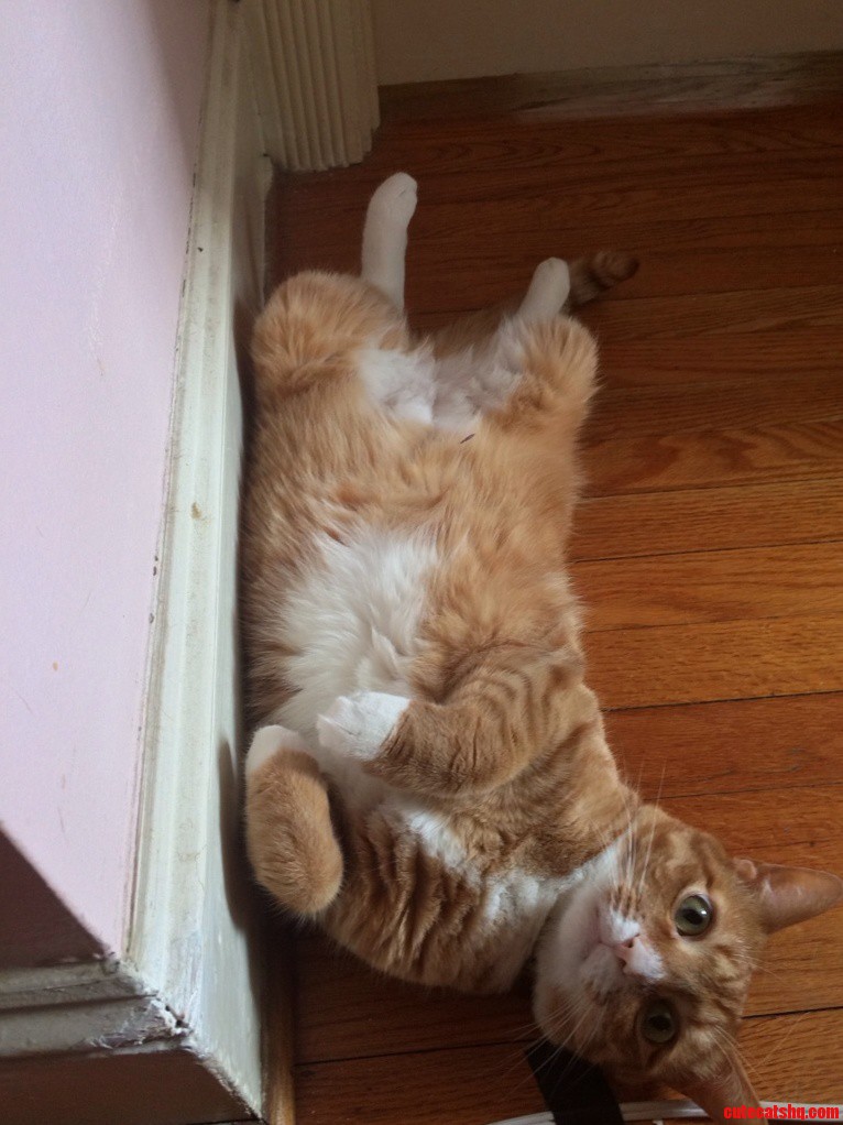 Typical Pose.