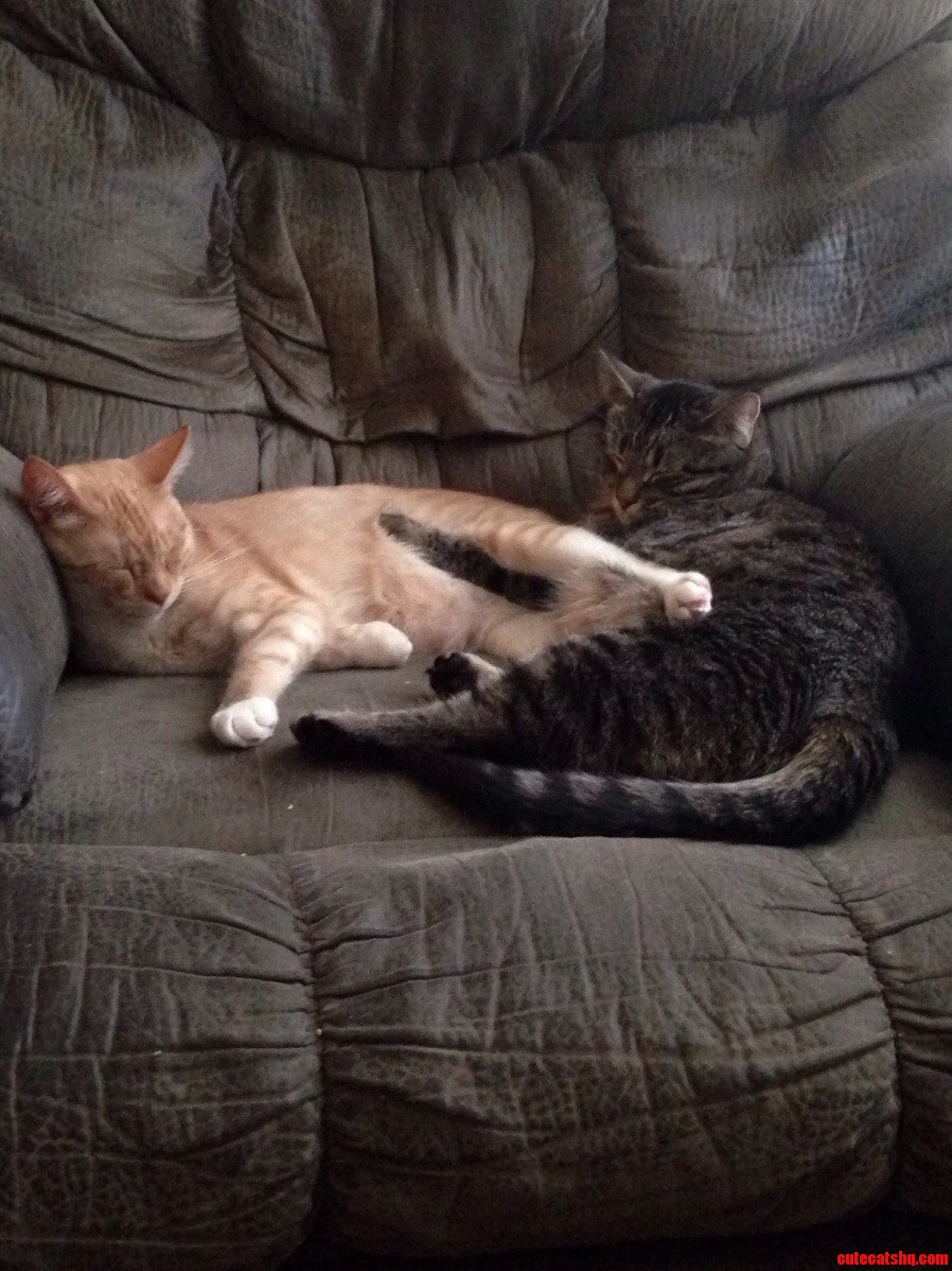 Update Mcgee and Zoey Finally Starting to Get Along