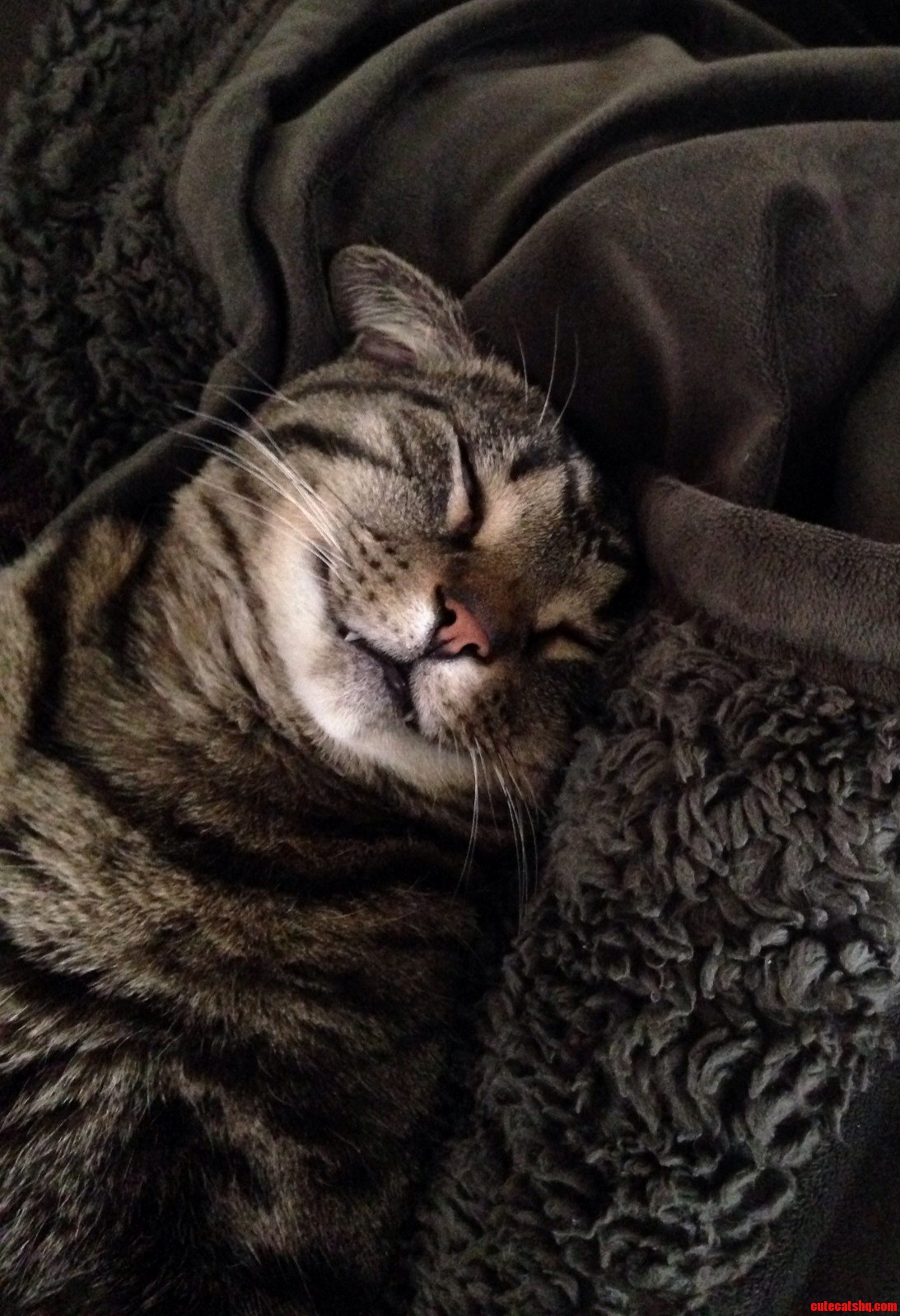 Very Salty I Have to Work Today and He Is Napping