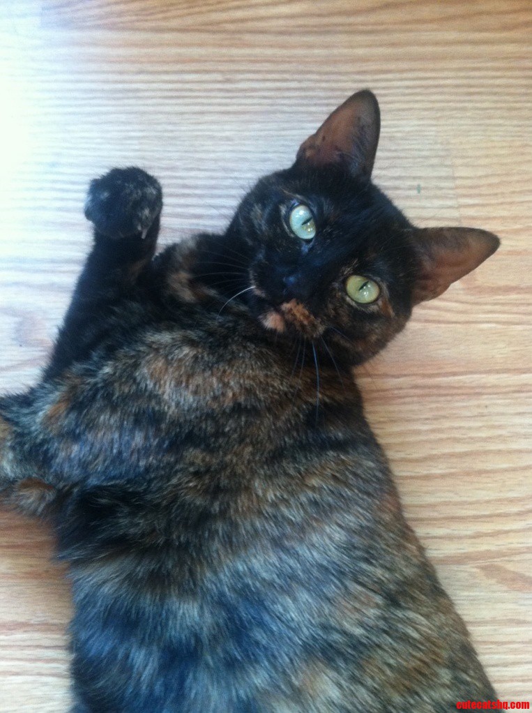 Victoria Loves Posing for Pictures