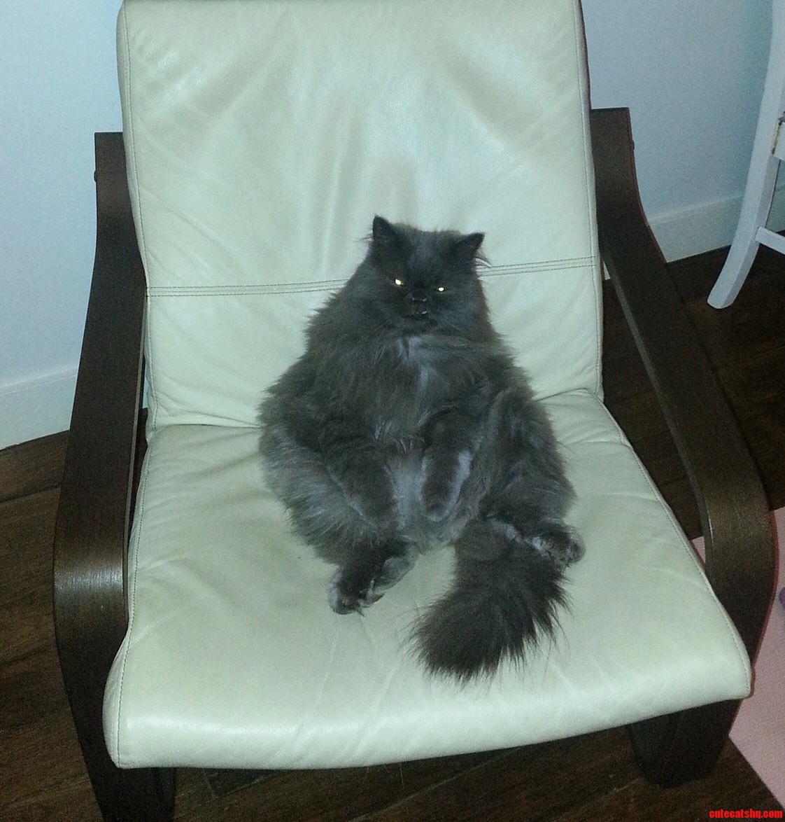 Watching Himym with the Humans.